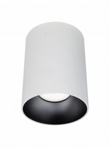 Puerto Rico WH/BL Biały Czarny Spot Sufitowy