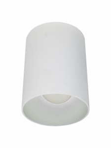 Puerto Rico WH/S Biały Srebrny Spot Sufitowy