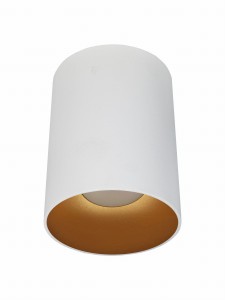 Puerto Rico WH/GD Biały Złoty Spot Sufitowy