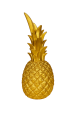 f179be910f06d5f526df7c8139973afe.png