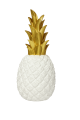 5aab274bdb38638873e3f07355221a10.png