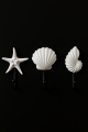 d2482d57abd71dd81803eeae5b886296.png