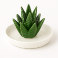 f04ffdfe6ca0aafd07d3109018509f6d.png