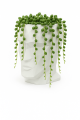 a93db30f6eeda5760eccd01f15e62951.png
